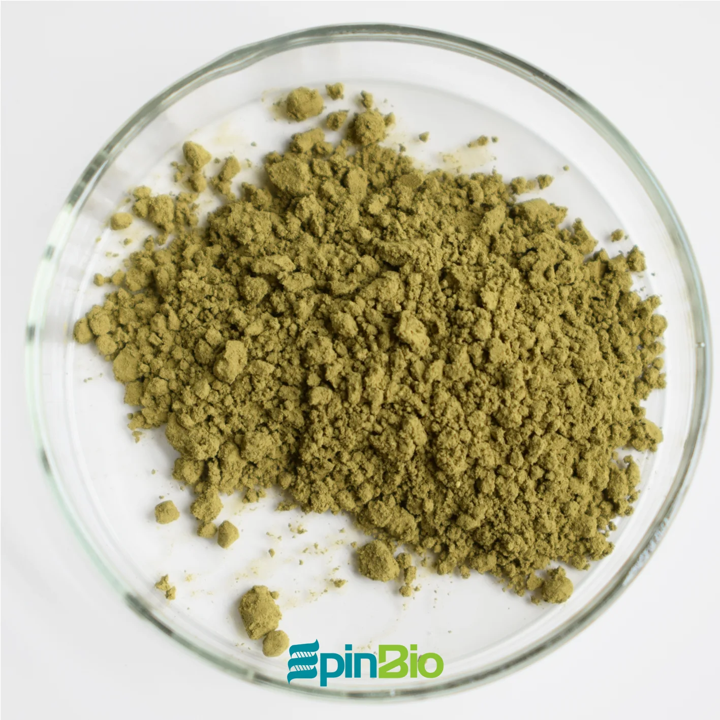 Экстракт розмарина 60% карнозовой кислоты