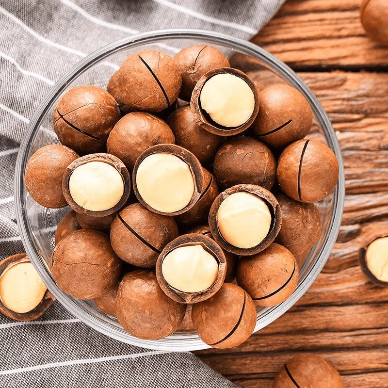 500g Rich Nutrition Delicious Wholesale Prices Of Macadamia Nuts For Sale Macadamia Nuts