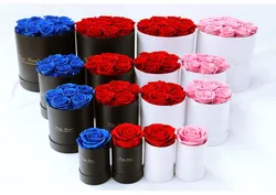 wholesales fresh real long lasting flower red preserved roses