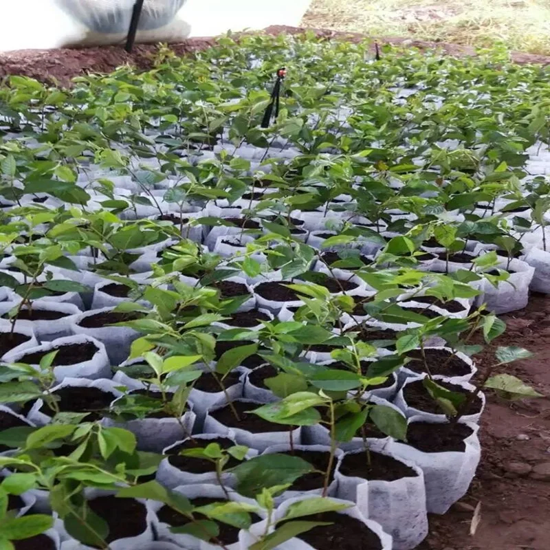 Biodegradable fabric Non Woven grow bag Plants Growing pot Breathable seedling-raising Nursery Bags