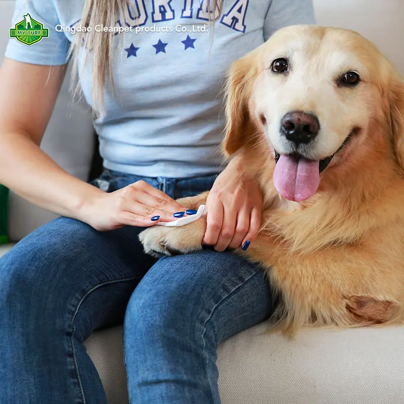 Direct Factory Anti bacterial Puppy Wipe Disposable Clean Grooming Wipes Pet Wipe