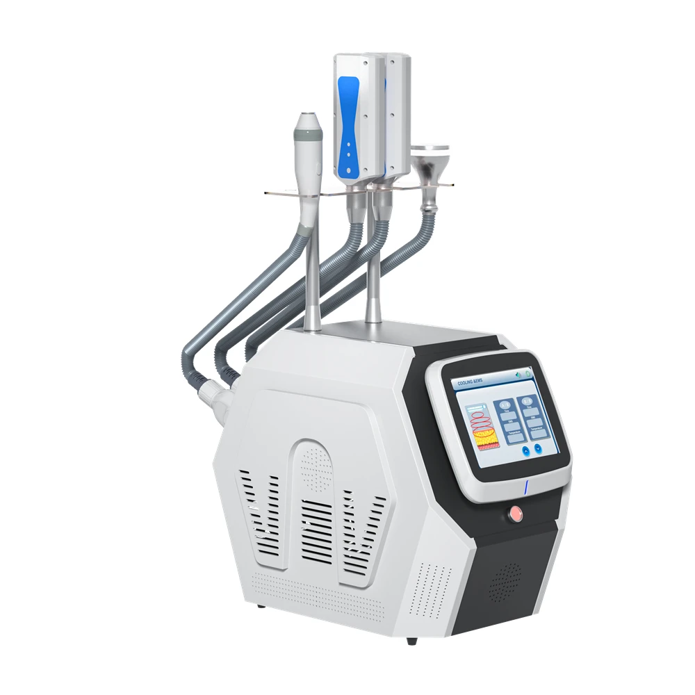 Portable 4 handles Cryo T Shock Cryoskin Facial Criolipolisis Palaca Plana Machine