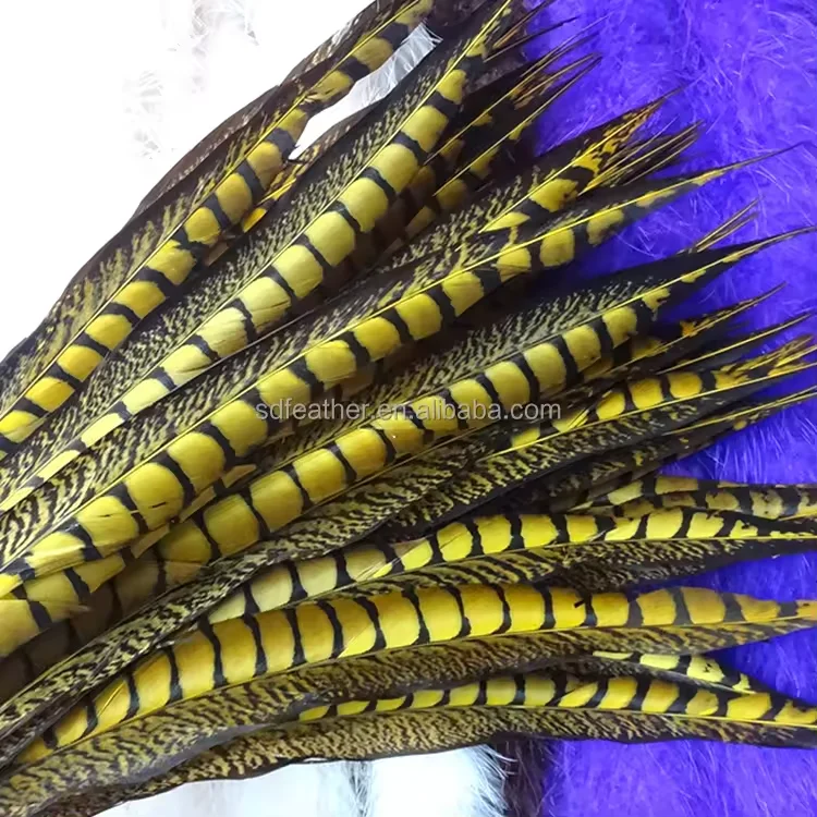 Lady Amherst Pheasant Feathers for Sale Large White Feathers Big Feathers