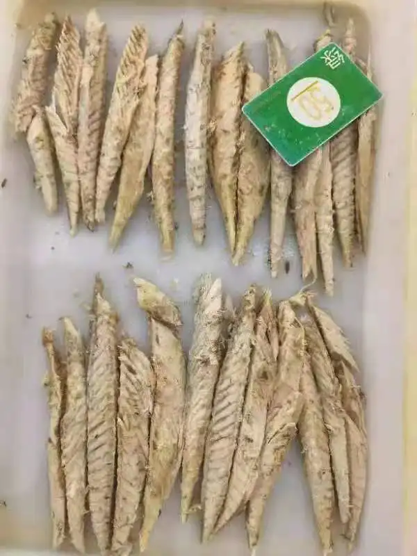 Origin china New stock precooked bonito tuna loin with good quality