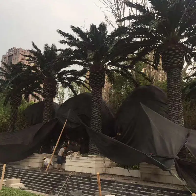 Outdoor Anti-ultraviolet Long Life Artificial Evergreen Plants Trees Decoration Artificial Palm Tree