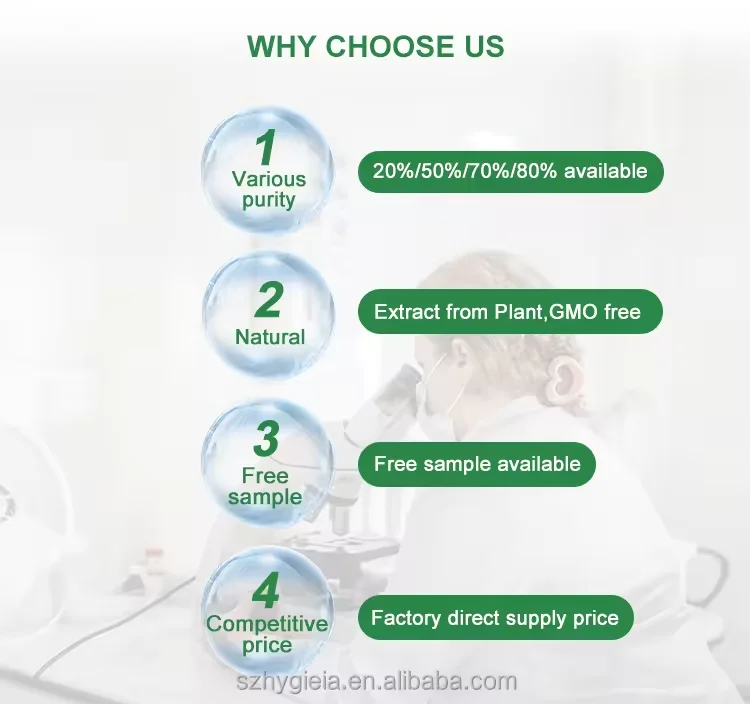 Wholesale Sunflower Seed Source Soybean Extract PS Supplement CAS 51446-62-9 Phosphatidylserine Powder