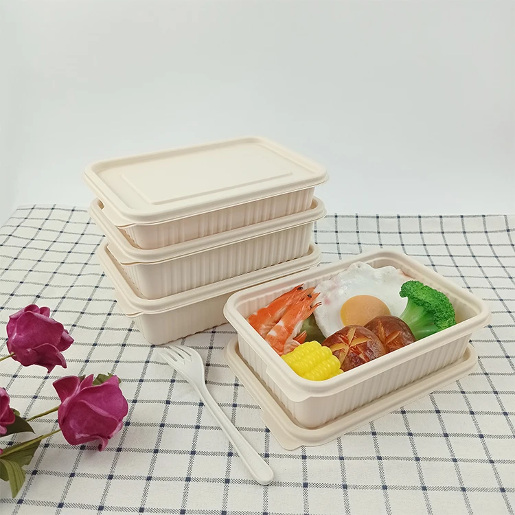 Cornstarch Food Container Disposable Take Away Lunch Packing Boxes Microwavable to Go Plastic CLASSIC Rectangle Sustainable