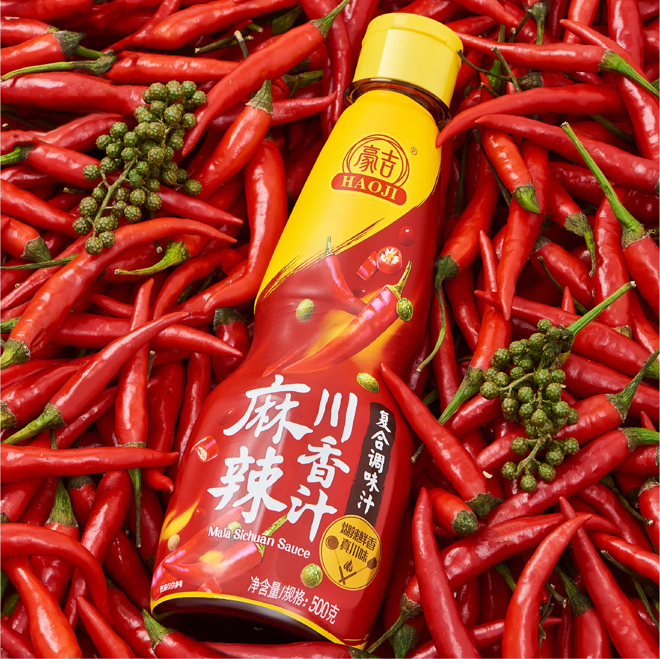 Haoji manufacturer hot sell for whole sale food seasoning sichuan seasoning