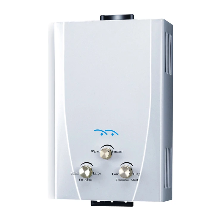 Factory manufacture Instant Gas Water Heater 10L household calentador de agua