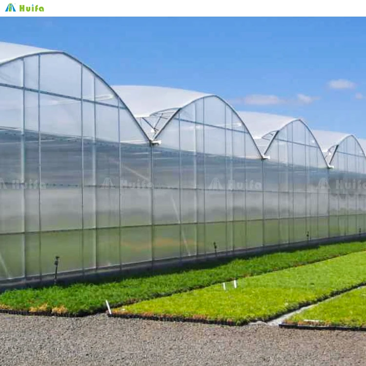 40x40m Agriculture Green House Sawtooth Poly Tunnel Hothouse Tropical Greenhouse Serre Agricole