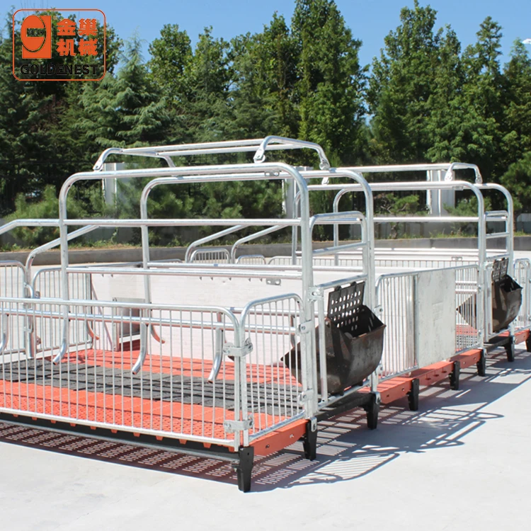  Goldenest Горячая Полный свиноферма оборудование JCAP-3