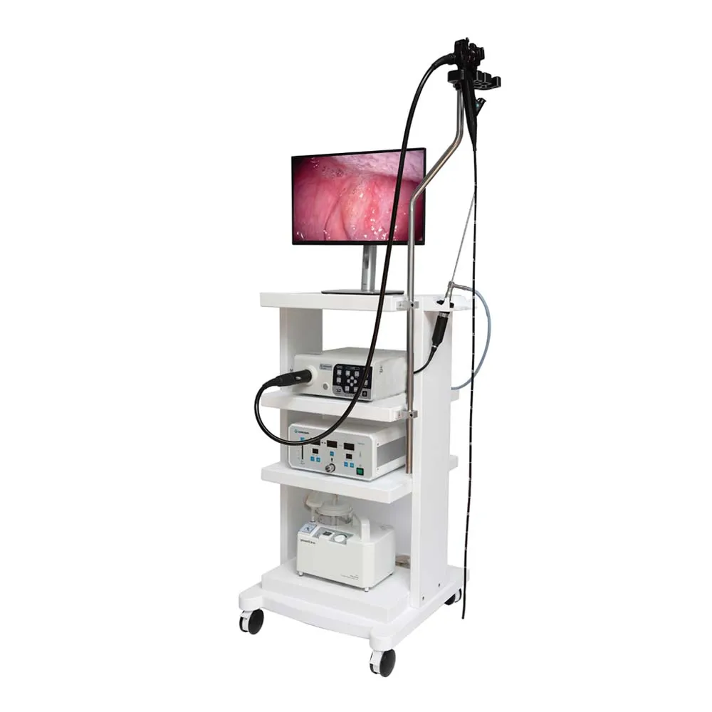 Promotional Price Gastroscope and Colonoscope Animal Special Medical Gastrointestinal Endoscope System Endoscope Gastroscope