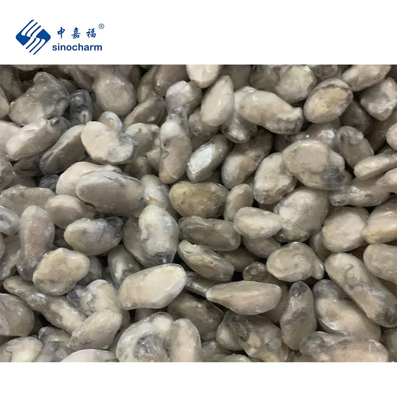 Sinocharm BRC Approved Premium Seafood IQF Oyster 3-5g 5-7g Frozen Oyster Meat