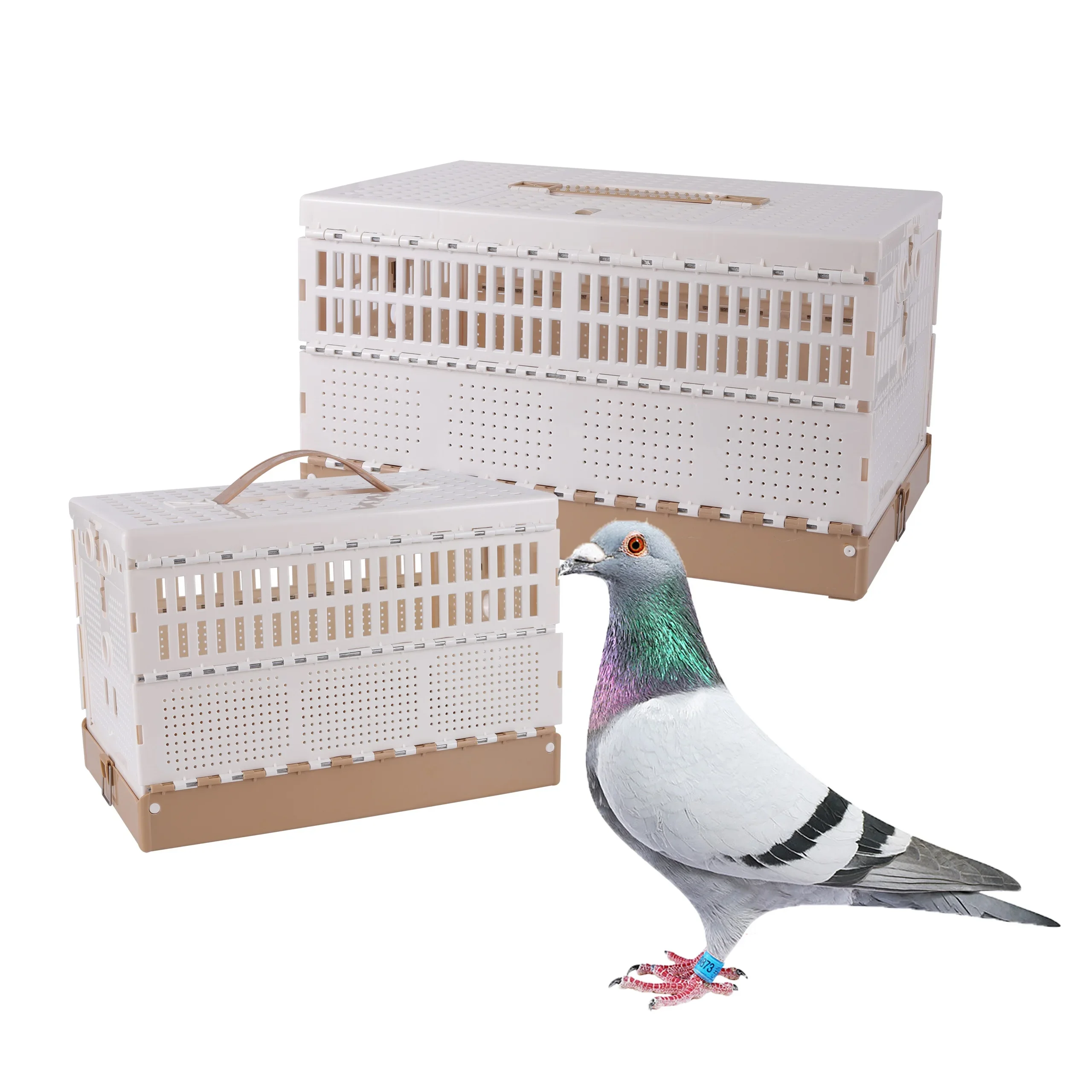 Portable Pigeon Folding Cage Bird Training Detachable Release Cage Racing Transport Competition Case