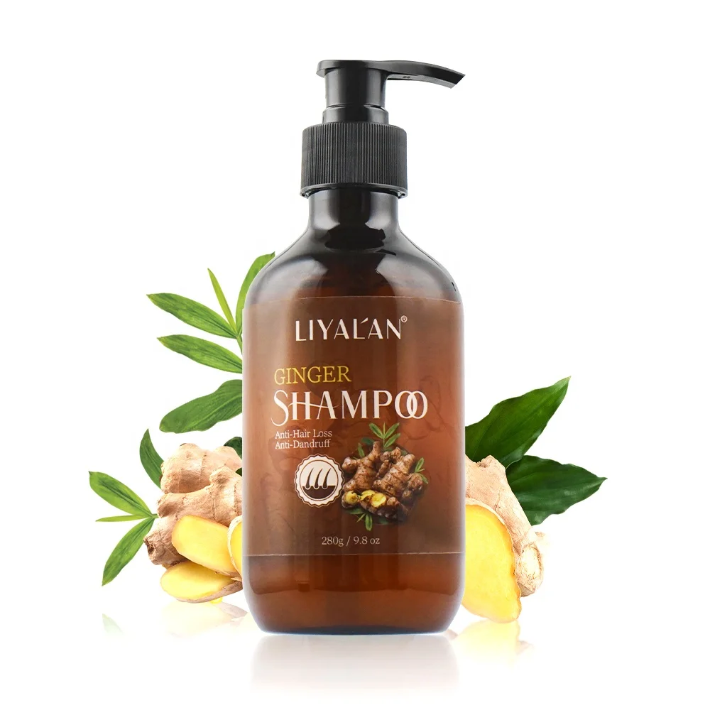 Natural Organic Hair Products Deep Clean Anti Hair Loss Anti-Dandruff Hair Growth Ginger Shampoo