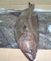 Buy Frozen Greenland Halibut Fish And Head for sale