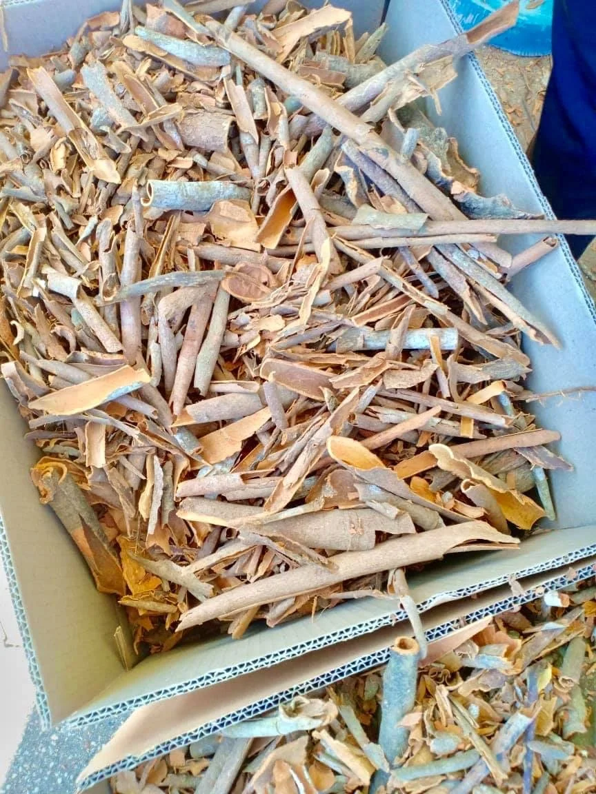 Cinnamon Broken Pressed/ Pressed Cinnamon Cassia/ Vietnam Cinnamon New Crop 2021
