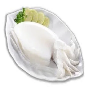 Hot sale Cuttlefish For Low Price