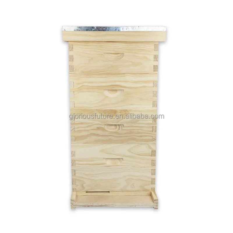 Beekeeping Factory High Quality 4 levels Pine Wooden Beehive 10 Frames Beehive Bee Box For Sale