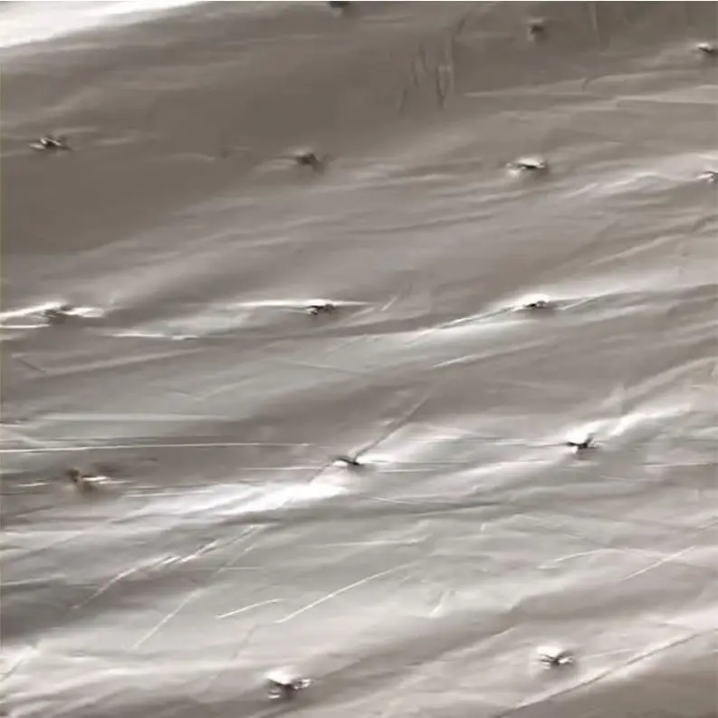 greenhouse strawberry Silver And Black plastic mulch film punch hole for Agriculture