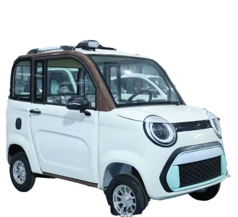 battery rechargeable substitute driving electric car cargo pet carrier vehicle instrument display power converter parts tester