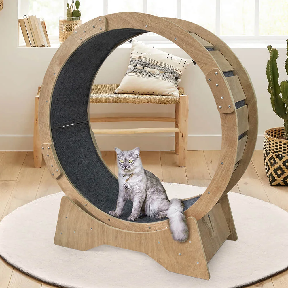 Cat Toys Circle Track Household Interactive Pet Tread Exercise Indoor Cats Treadmill Cat Running Wheel