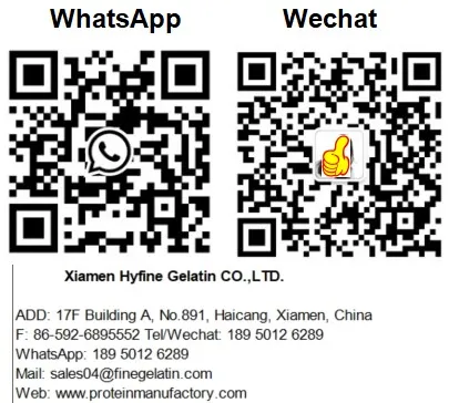 Monica whatsapp & wechat