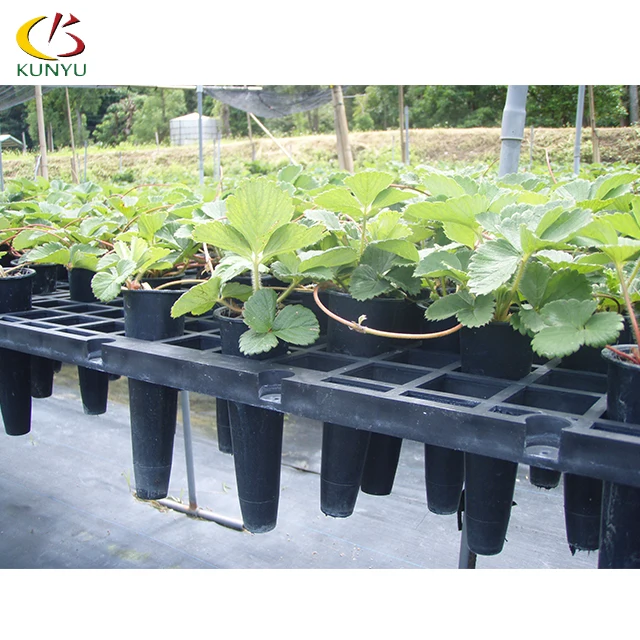 Foshan Kunyu High Quality Rolling Nursery Benches Greenhouses For Strawberries
