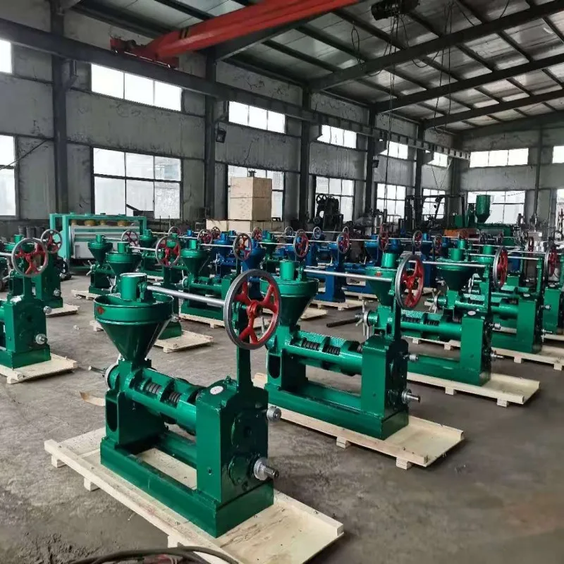 100kg Per Hour Coconut Oil Making Machine Coconut Oil Press Machine Copra Oil Pressing Machinery