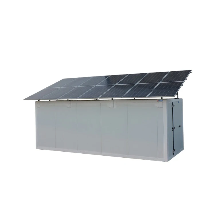 Industrial Customized Solar Fruit Cold Room, Solar Cold Room Freezer