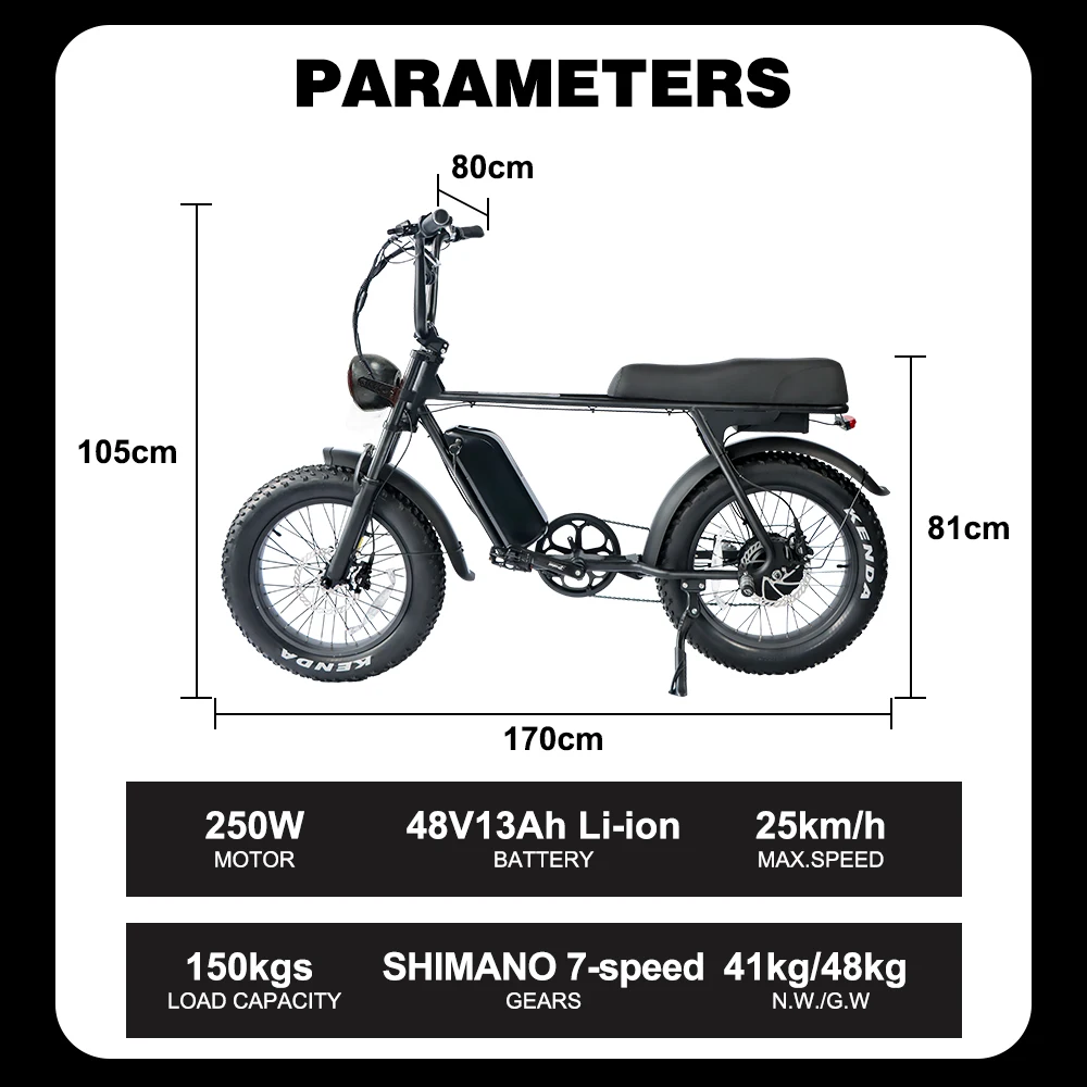 EU Warehouse 48V 15Ah 250W 20 Inch Fat Tire E MTB US Stock Powerful Full Suspension 13Ah 750W Adults Off Load Electric Bike