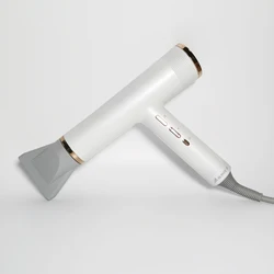 Factory Price Best Price Private Label Professional Hair Dryer Salon Hair Dryer Ionic