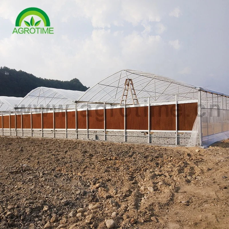  Chinese project hot sale commercial agriculture multi span hydroponic greenhouse glass green house for