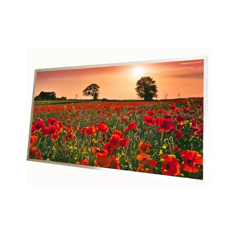 Boe 21.5 Inch DV215FHM-NN0 Desktop Monitor Lcd 1920*1080 Tft Lcd Display Panel