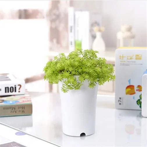 2023 New Design Round Mini Pot Greenhouse Garden Planting Pot White flower pot Plastic Vase