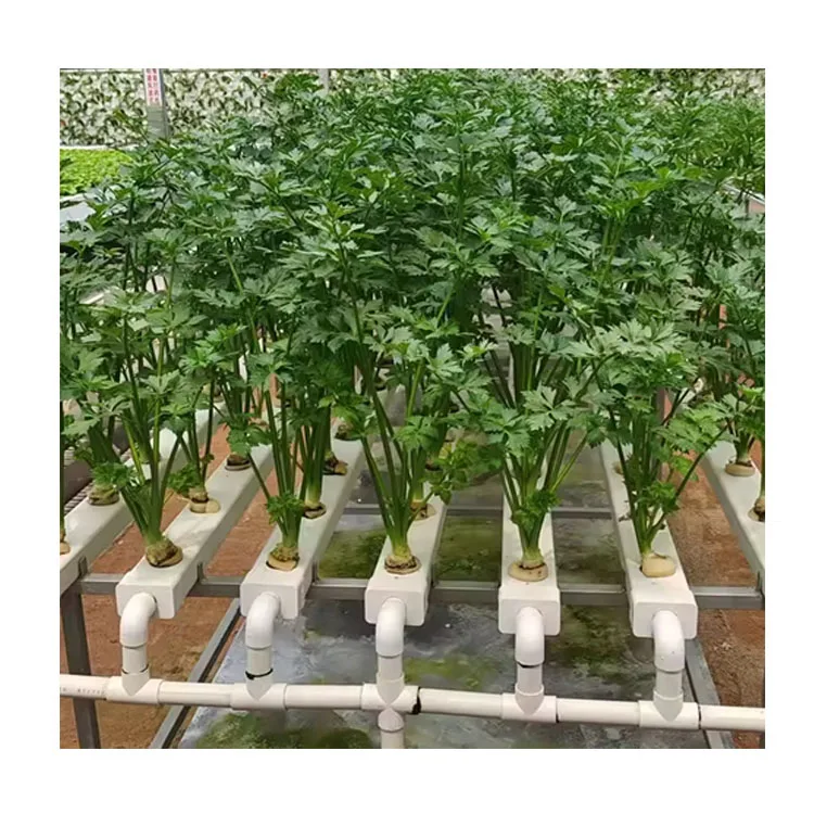 customize hydroponic nft pipe Greenhouse Pvc Flat Tube For Hydroponics Nft System Hydroponic Nft Channel Grow Systems