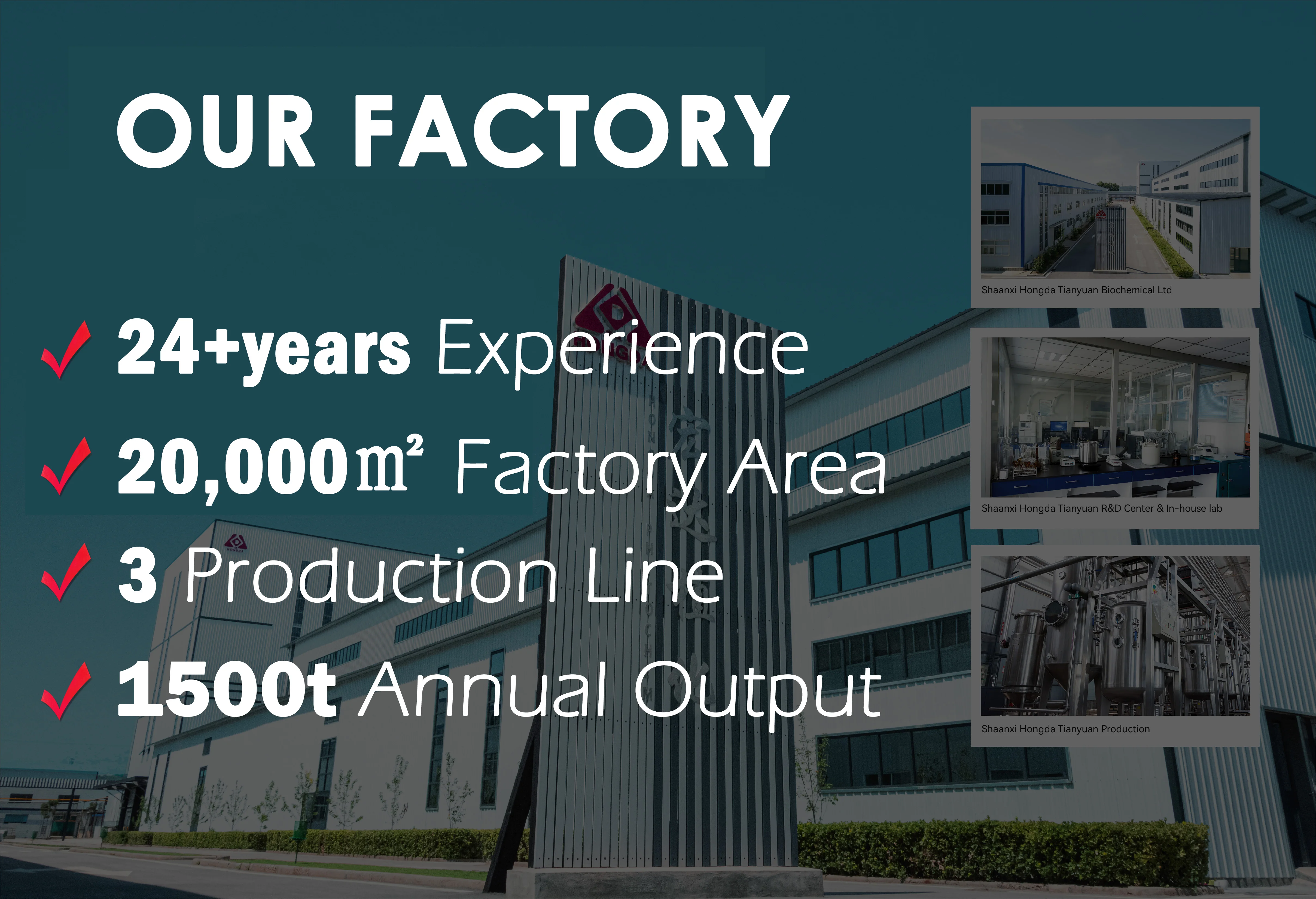 OEM cGMP Заводская аминокислотная добавка 500 мг тауриновых капсул
