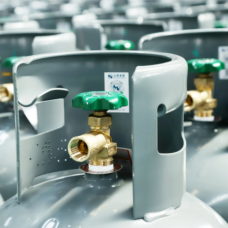 Safety-Assured 10Kg Portable Composite Lpg Gas Cylinder for Cooking With Certification