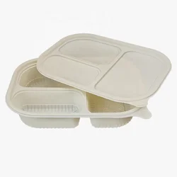 Wholesale Disposable Packaging Food Container Compostable 3 Compartment Lunch Box for Biodegradable Disposable Tableware
