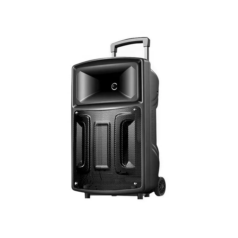 12 or 15 inch trolley rechargeable battery amplifier outdoor speaker with wireless microphone