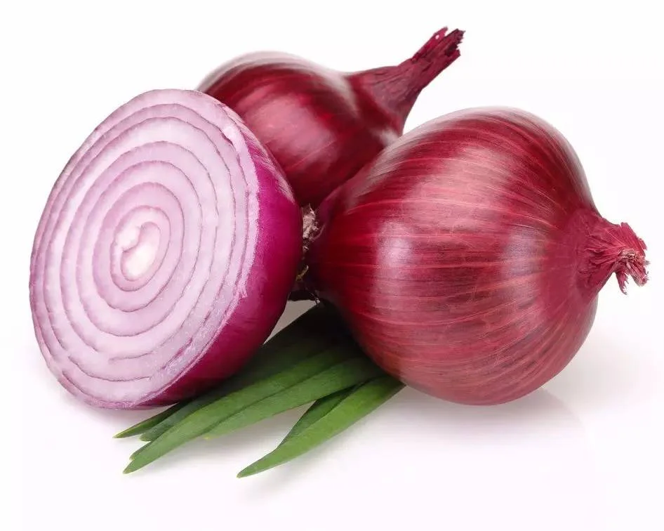 Fresh vegetables onion specification fresh big size fresh red onion