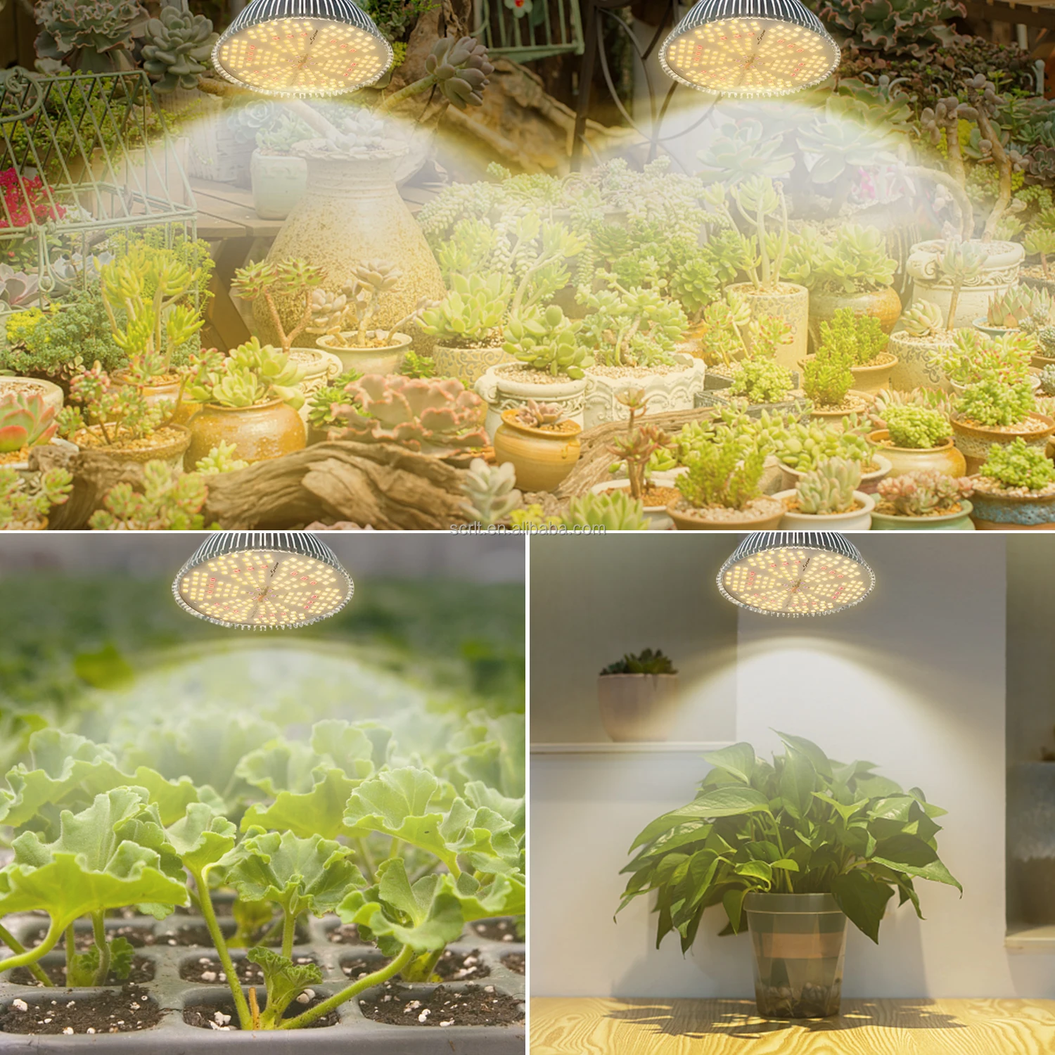 E27 Full Spectrum samsung Grow Light Hydroponics Grow 25W with UV Led Plant Light Bulb