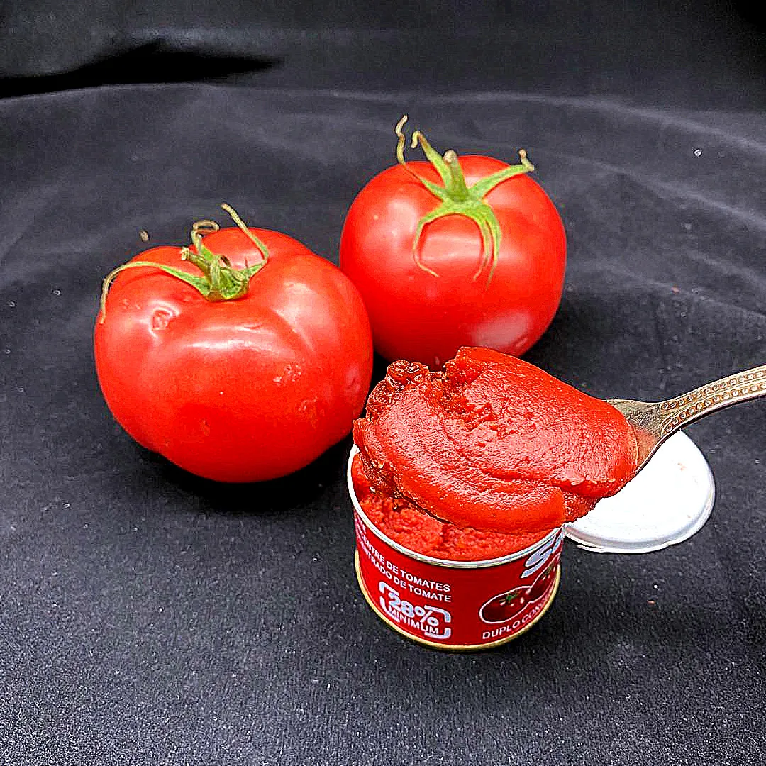 Orginac Quality Tomato Paste Double Concentrated 28-30% Brix Tomato Sauce In 70g 210g 400g 2200g For Halal African Muslim Cook
