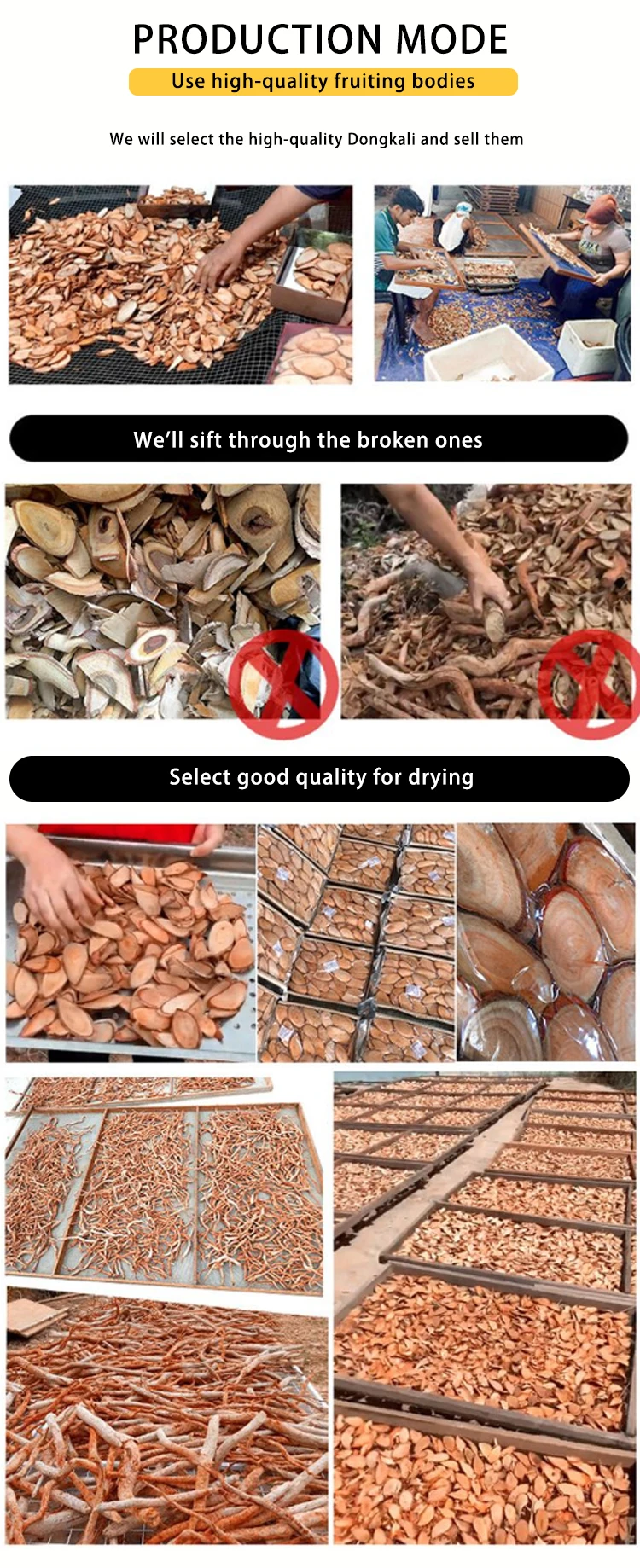 Pure Plant Buy Eurycoma Longifolia Root Healthcare Supplement Tongkat Ali Extracts