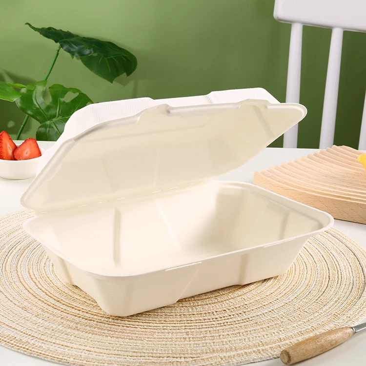 Wholesale Safety Custom Ecopack Box Disposable Biodegradable Paper Pulp Packaging Food Lunch Box with Lid