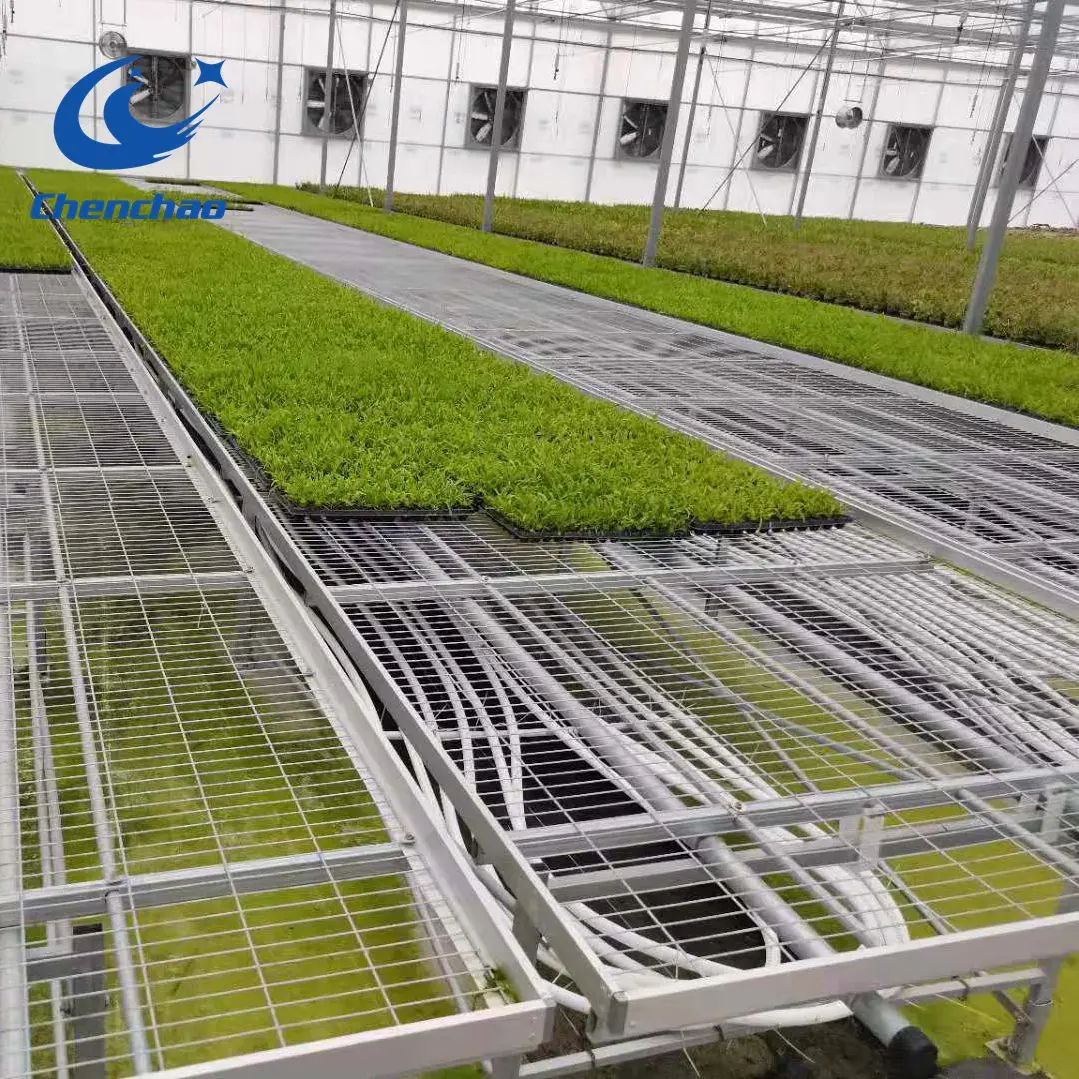 Greenhouse Welded Wire Mesh Rolling Bench(standard size:2.5m*1.65m*0.75m)