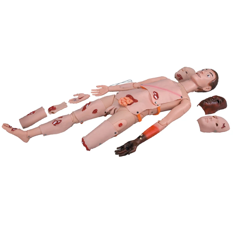 Medical Subject medical science Burning Wound Nursing Training Model advanced general doctor Manikin Trauma Manikin