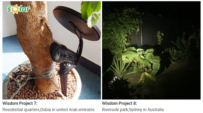 paste-pic-dp_uuid_foxtd