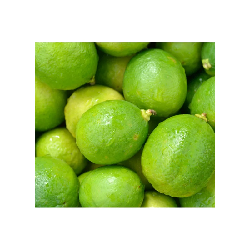 Custom Packing Fresh Lemon 100% natural fresh low price and high quality from Indian supplier Wholesale Purchase