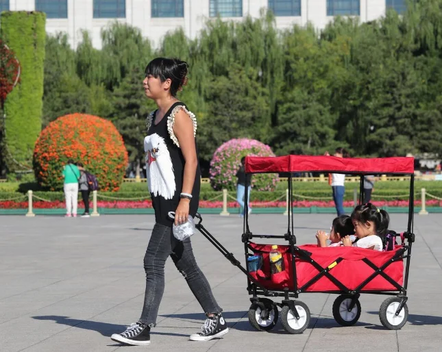 two handles 4wheels beach truck Collapsible Folding Outdoor Utility Wagon with beach sand wheels TC0100